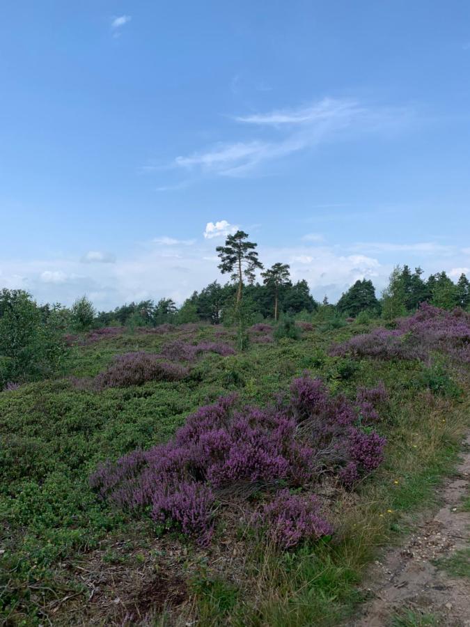 Bed and Breakfast Haarles Landleven Zewnętrze zdjęcie